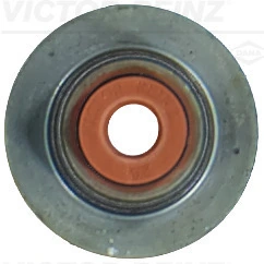 Seal Ring, valve stem
